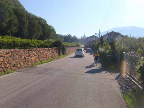 Farm to Market Road in Grape Vine and Wine Country.